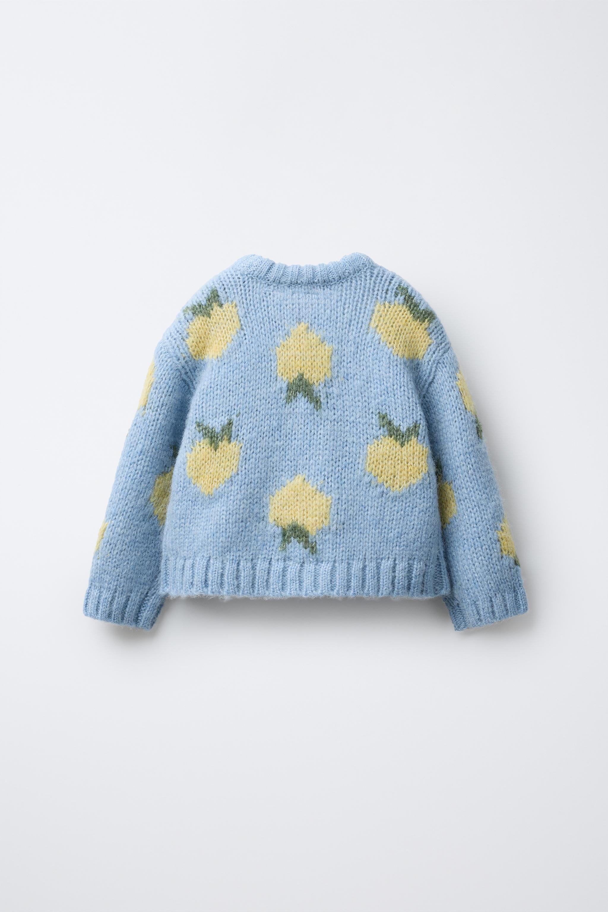 FRUIT PRINT WOOL BLEND KNIT SWEATER